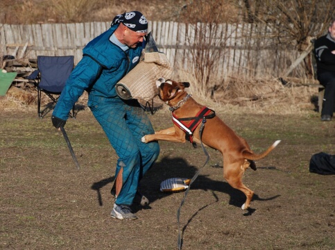 Training in Estonia 30.3 - 1.4. 2007